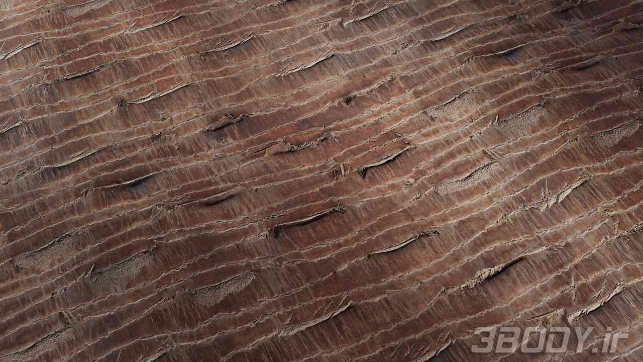 متریال پوست درخت نخل Palm tree bark عکس 1